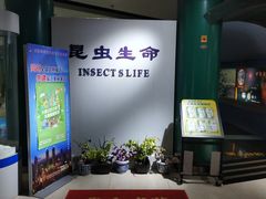 -上海昆虫博物馆
