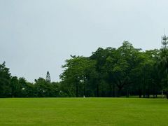 -东莞植物园