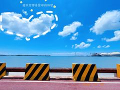 -汕尾风车岛