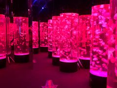 -成都浩海立方海洋公园