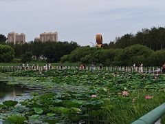 -哈尔滨大剧院