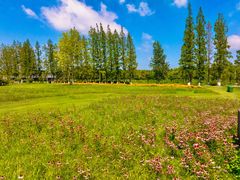 -黄海国家森林公园