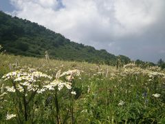 -白草畔自然风景区