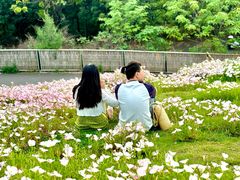 -白鹭湾湿地公园