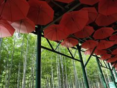 -陶祖圣境风景区