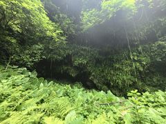 -海口火山口国家地质公园