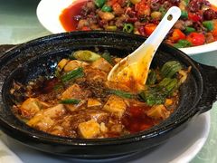 -陈麻婆豆腐总店