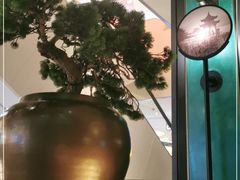 -新白鹿餐厅(金鹰新街口店)