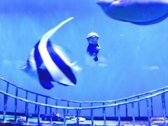 -太平洋海底世界