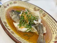 -清真马祥兴菜馆(云南北路店)