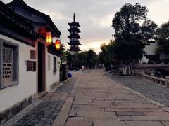 -普洱茶府(博乐广场店)