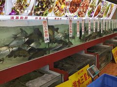 -西江河鲜·趣苑酒楼(鼎湖牌坊店)