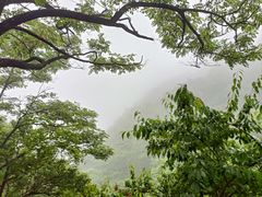 -大觉寺-停车场