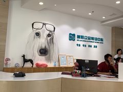 -美联众合动物医院·24h转诊中心