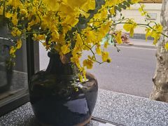 -Apollo·西班牙小酒馆(安福路店)