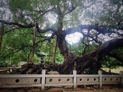 -小洲村