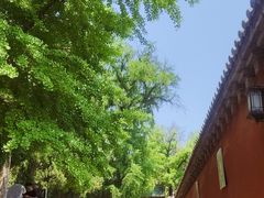 -少林寺欢喜地素斋馆