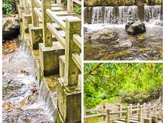 -银瓶山森林公园(谢岗镇)