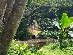 -海南热带野生动植物园