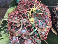 -尼甘布海鲜市场