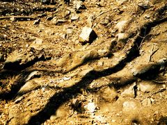 -沈阳辉山风景区