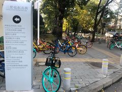 -三里屯东五街银杏大道