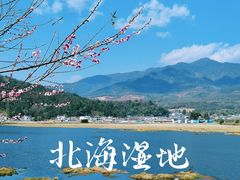 -腾冲北海湿地