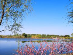 -东郊湿地公园
