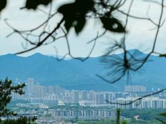 -大奇山国家森林公园
