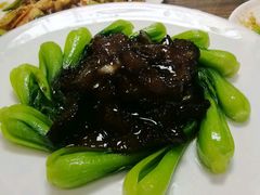 -林之六八·6886大连老菜馆