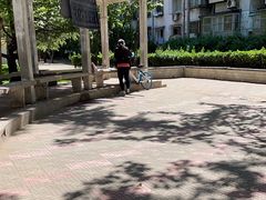 -芍药居北里