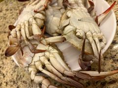 -禾斗海鲜自助(市南银座店)