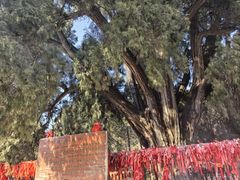 -四门塔风景区