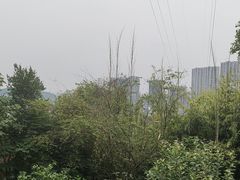-恬阿姨庭院餐厅·生日宴