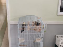 -心元儿童之家(萧山校区)