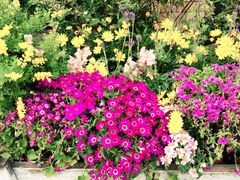 iphone_upload_pic-春暖花开(西溪店)
