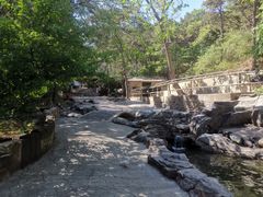 -燕塞湖鸟语林景区