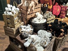 -九又四分之三站台