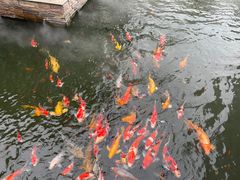 -西江印象酒楼