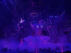 -广州长隆国际大马戏