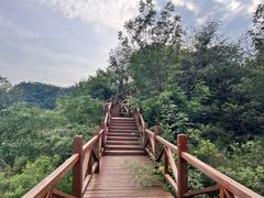 -大岭沟猕猴桃谷风景区