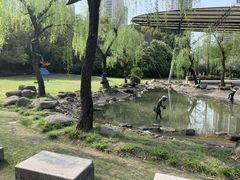 -苏州河梦清园环保主题公园