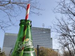 -肉串汪(望京店)