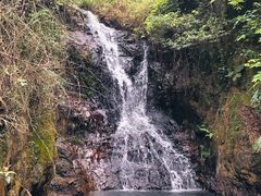 -羚羊峡古栈道森林公园