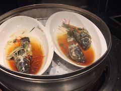 -三亚海棠湾万丽度假酒店