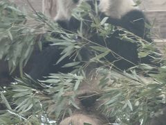 -无锡动物园·太湖欢乐园