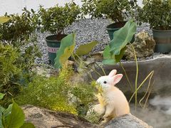 -伴山茶苑·围炉煮茶