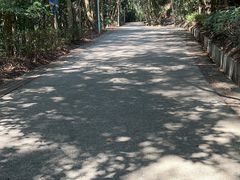 -东莞市大岭山森林公园