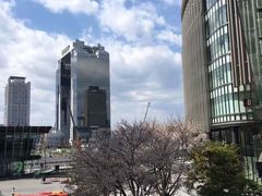 -松本清(心斋桥中央店)