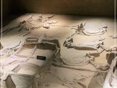 -洛阳周王城天子驾六博物馆